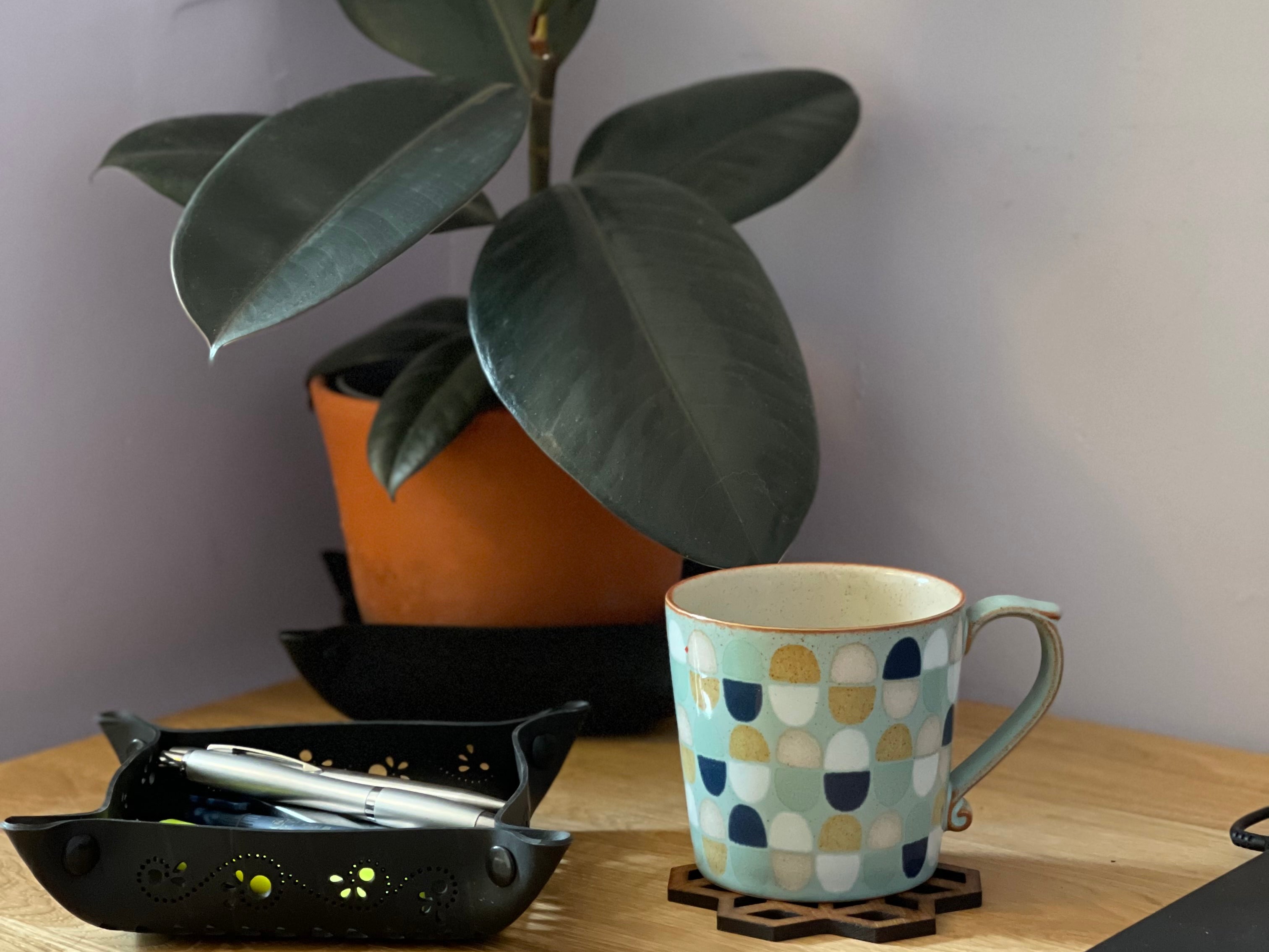 Savouring the Slow: A Sunday Journey of Reset, Relaxation, and Rejuvenation